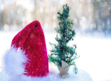 Caring Christmas Trees Project - Help Wanted