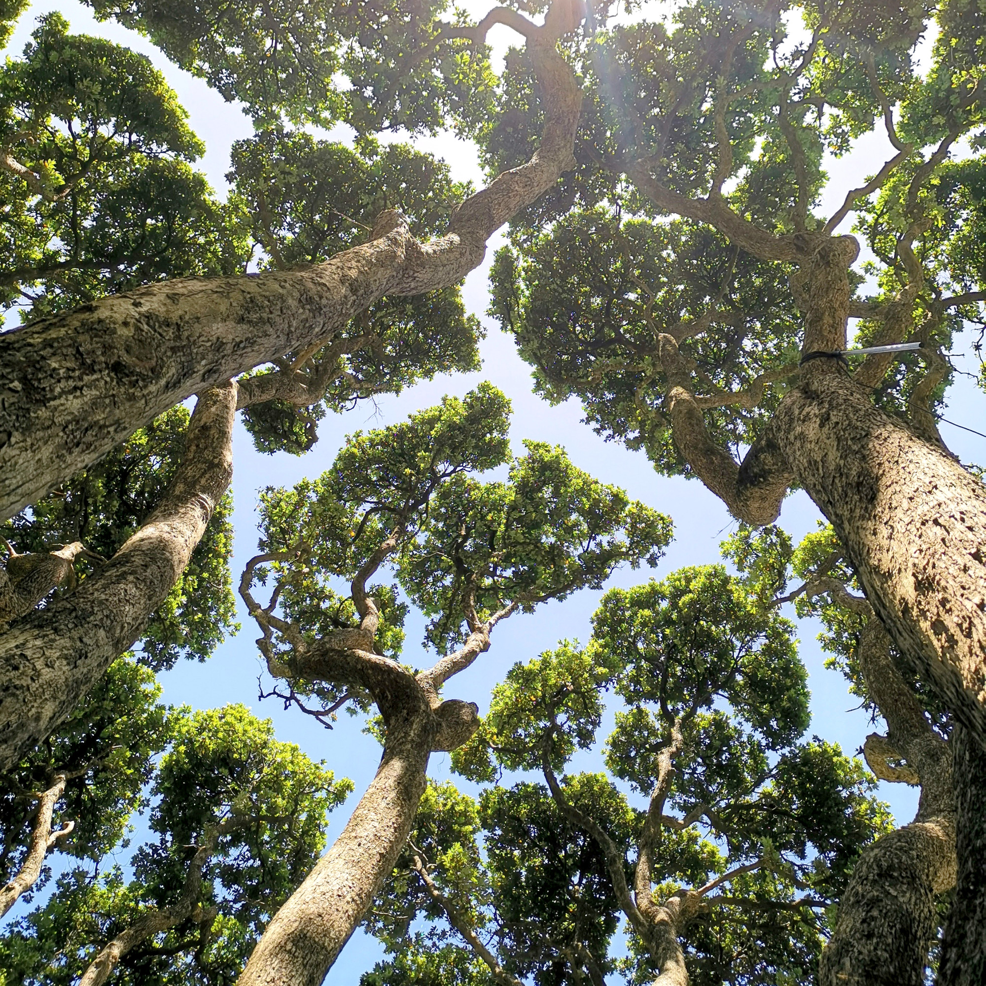 Cultivating a Mission and Discipleship Ecosystem