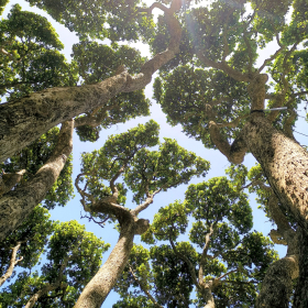 Cultivating a Mission and Discipleship Ecosystem